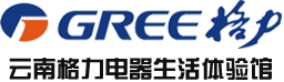 昆明德坦機電設備有限公司|格力空調(diào)昆明旗艦店